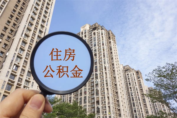五险一金有社保-东营公积金服务平台
